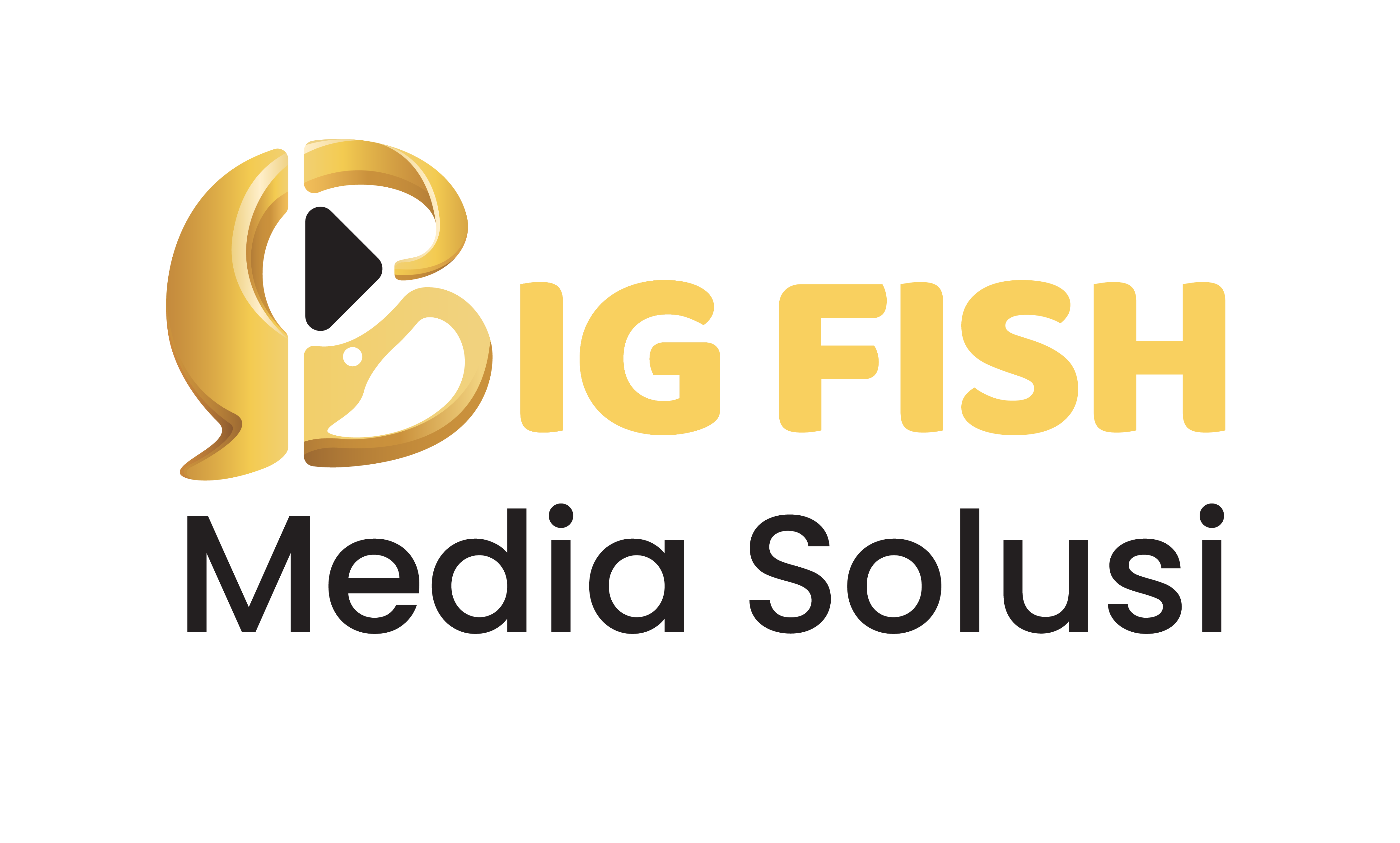 Big Fish Media Solusi